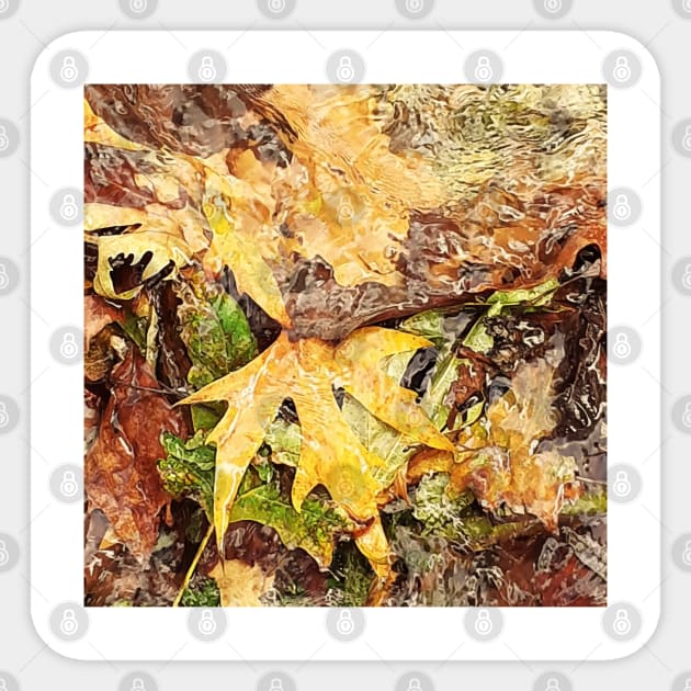 Fallen leaves floating in the river, 2, (Set of 3), fall, autumn, xmas, holiday, nature, forest, trees, winter, color, flowers, orange, art, botanical, leaves, leaf, floral, wet, rain, water, holidays, digital, spring, aqua, graphic-design, christmas Sticker by PrintedDreams